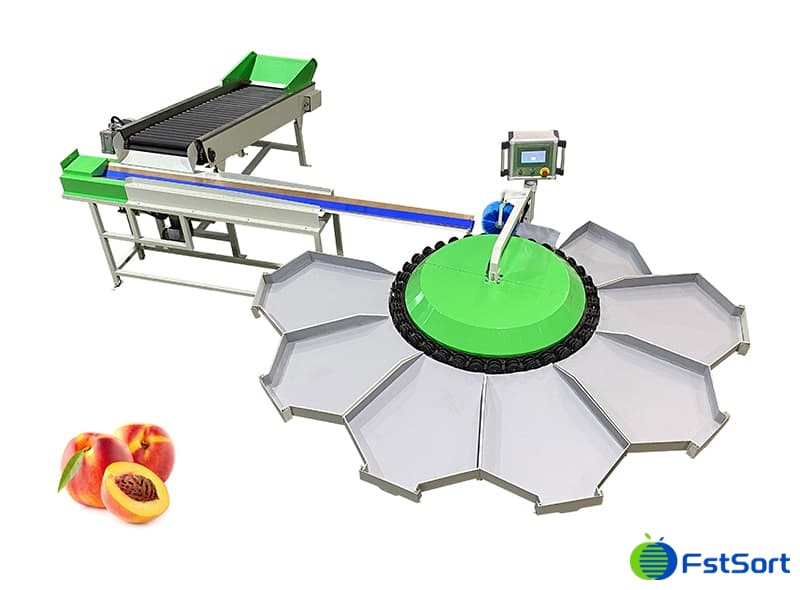 images/1661756388234peach sorter.jpg